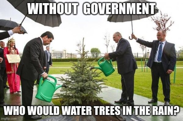 Water Trees