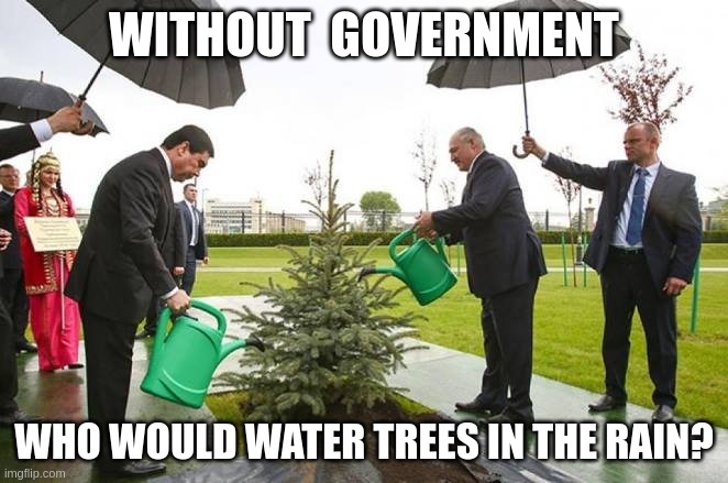 Water Trees